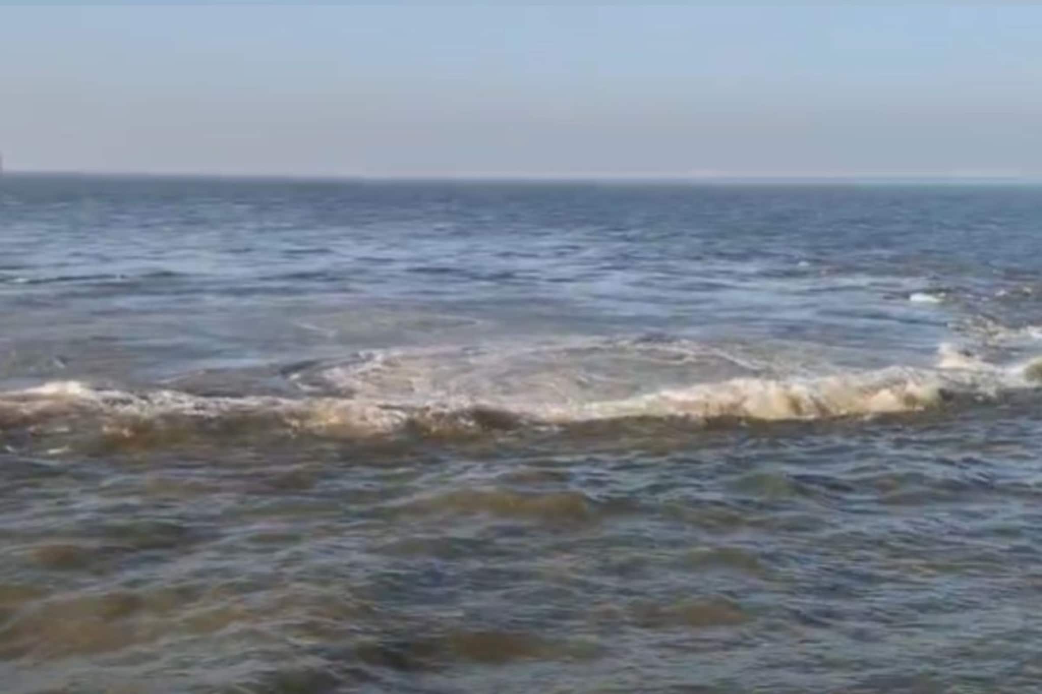 Fact Check: मुंबईच्या समुद्रात थरारक दृश्य, गोल रिंगण कुठून आलं? नवी माहिती समोर