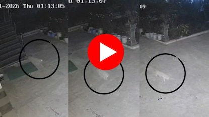 vasai virar news vasai virar news