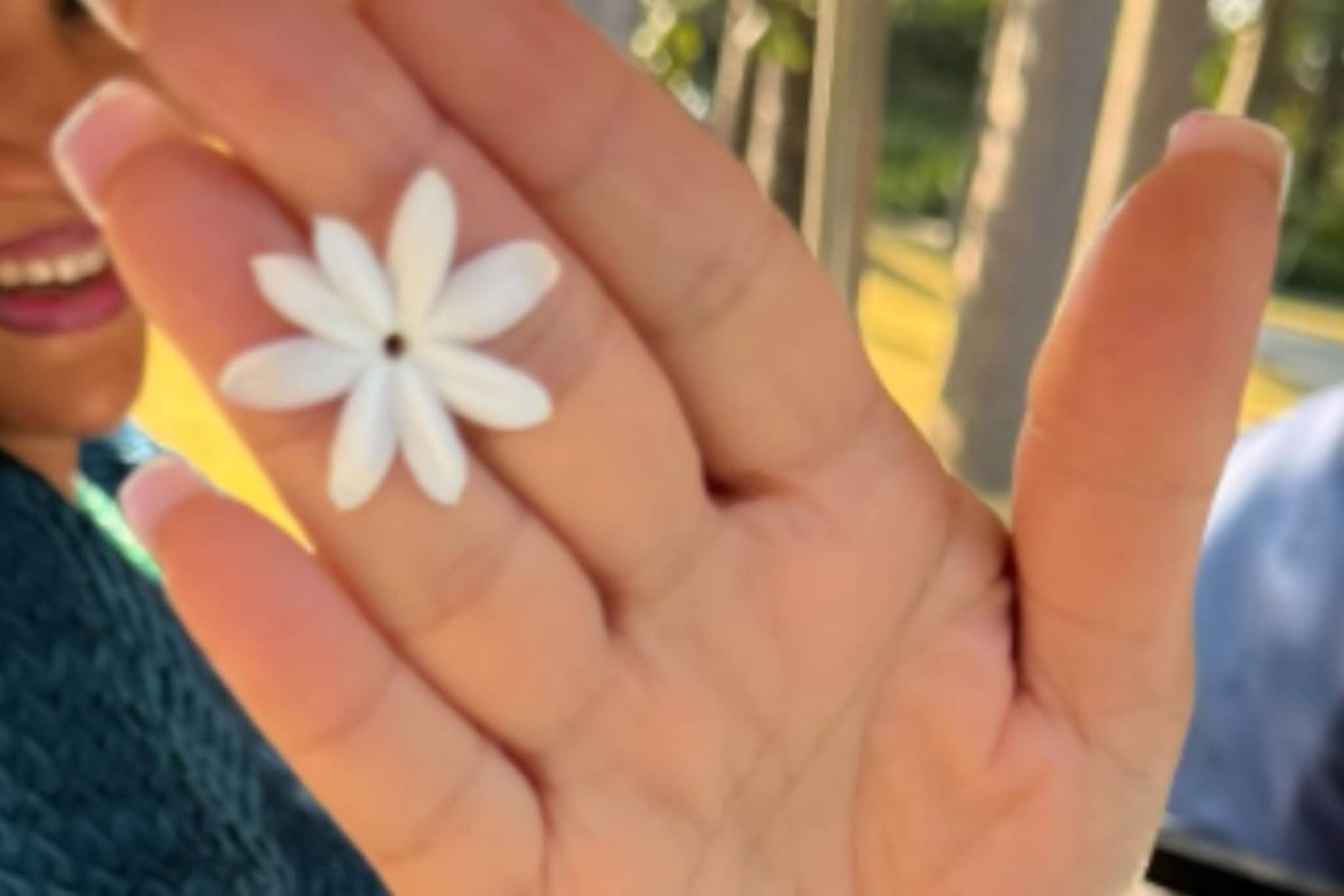 विमानाचं लायसन्स असलेली एकमेव अभिनेत्री कोण? रजनीकांत-कमल हसनसोबत केलंय काम विमानाचं लायसन्स असलेली एकमेव अभिनेत्री कोण? रजनीकांत-कमल हसनसोबत केलंय काम