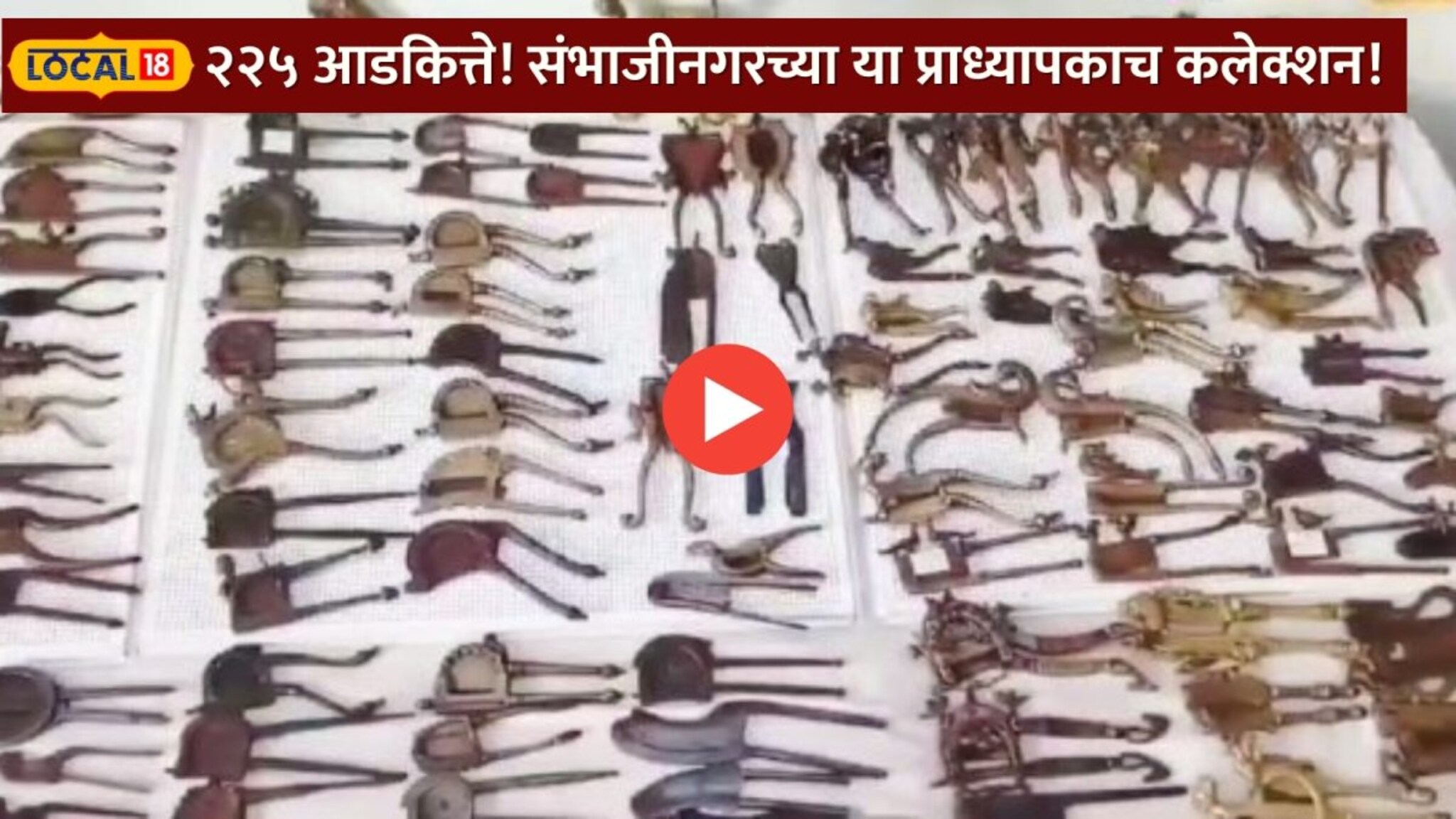 एक दोन नव्हे, तब्बल २२५ आडकित्ते! संभाजीनगरच्या या प्राध्यापकाच कलेक्शन पाहाच! Video