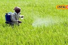 एकाच औषधाचा करताय शेतात अति वापर, वेळीच करा बदल, नाहीतर होतील हे परिणाम