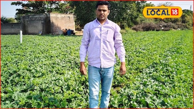 Farmer Laxman Aher Earns Millions from Muskmelon Cultivation, Abandons Traditional Farming