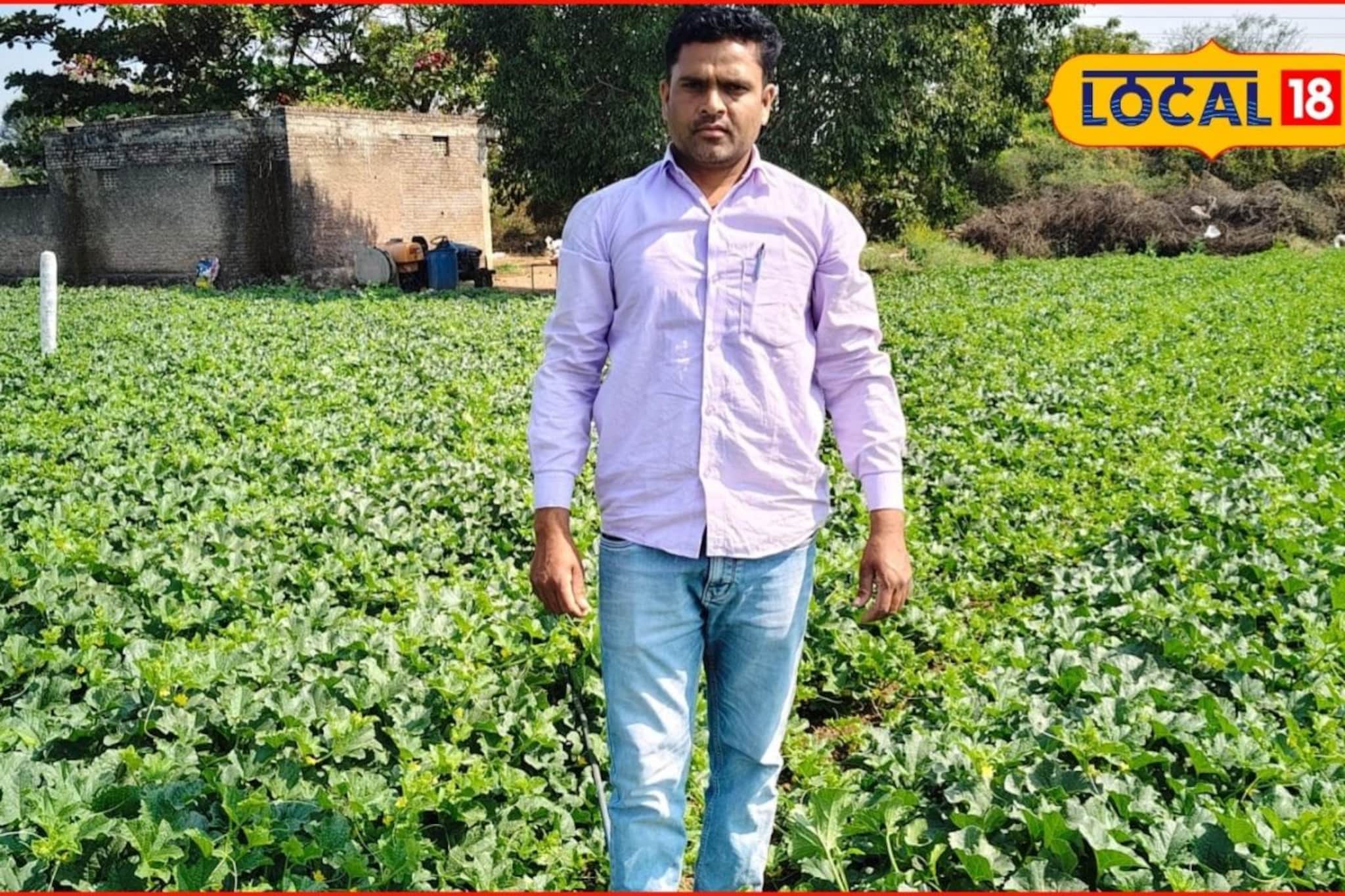 पारंपरिक शेतीला दिला फाटा, केली खरबूज लागवड, शेतकऱ्याची लाखांत कमाई, Video