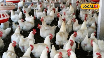 Farmers: Boost Income with Low-Capital Agri-Businesses! 4 Best Options Revealed