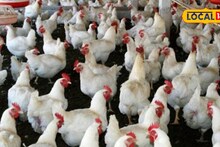 Business Ideas : शेतकऱ्यांनो, कमी भांडवलात व्यवसाय सुरू करायचाय? हे आहेत 4 बेस्ट पर्याय, उत्पन्न मिळेल लाखात