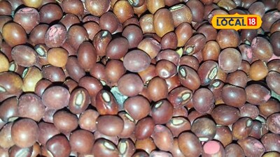 Pigeon Pea Prices Soar, Cotton & Soybean Dip in State Markets
