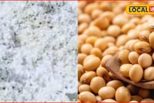 APMC Market: रविवारी कांदा, कपाशीचे दर घसरले, सोयाबीन, तुरीला किती मिळाला भाव?