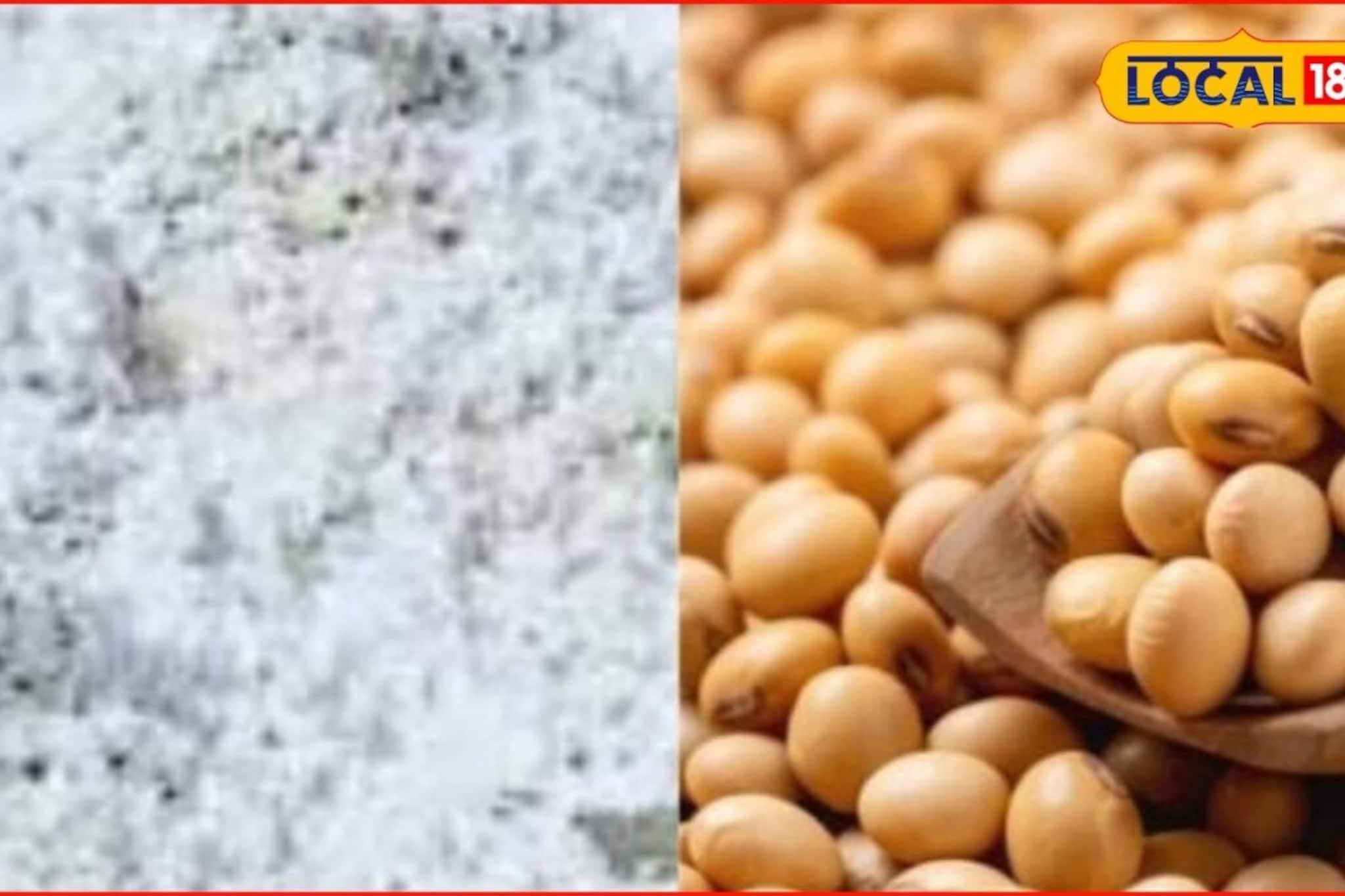 APMC Market: रविवारी कांदा, कपाशीचे दर घसरले, सोयाबीन, तुरीला किती मिळाला भाव? APMC Market: रविवारी कांदा, कपाशीचे दर घसरले, सोयाबीन, तुरीला किती मिळाला भाव?