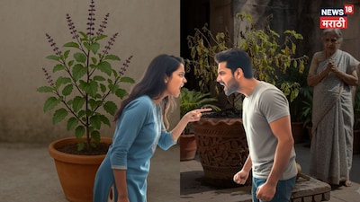 Magh Month Tulsi Worship: Avoid These Mistakes to Prevent Negative Energy