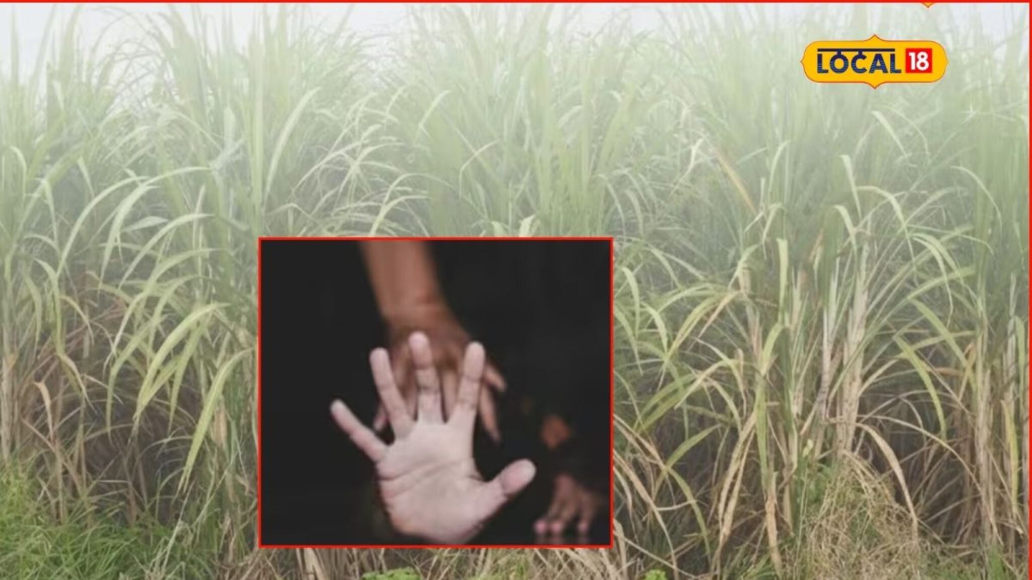 आईवडील ऊस तोडायला गेले, झोपडीत अल्पवयीन मुली, ते आले आणि उसात..., बीडची संतापजनक