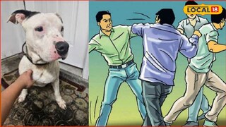 कुत्रा हरवला अन् वाद पेटला, अंबाजोगाईत मोठा राडा, थेट डोकं..., बीडमध्ये खळबळ