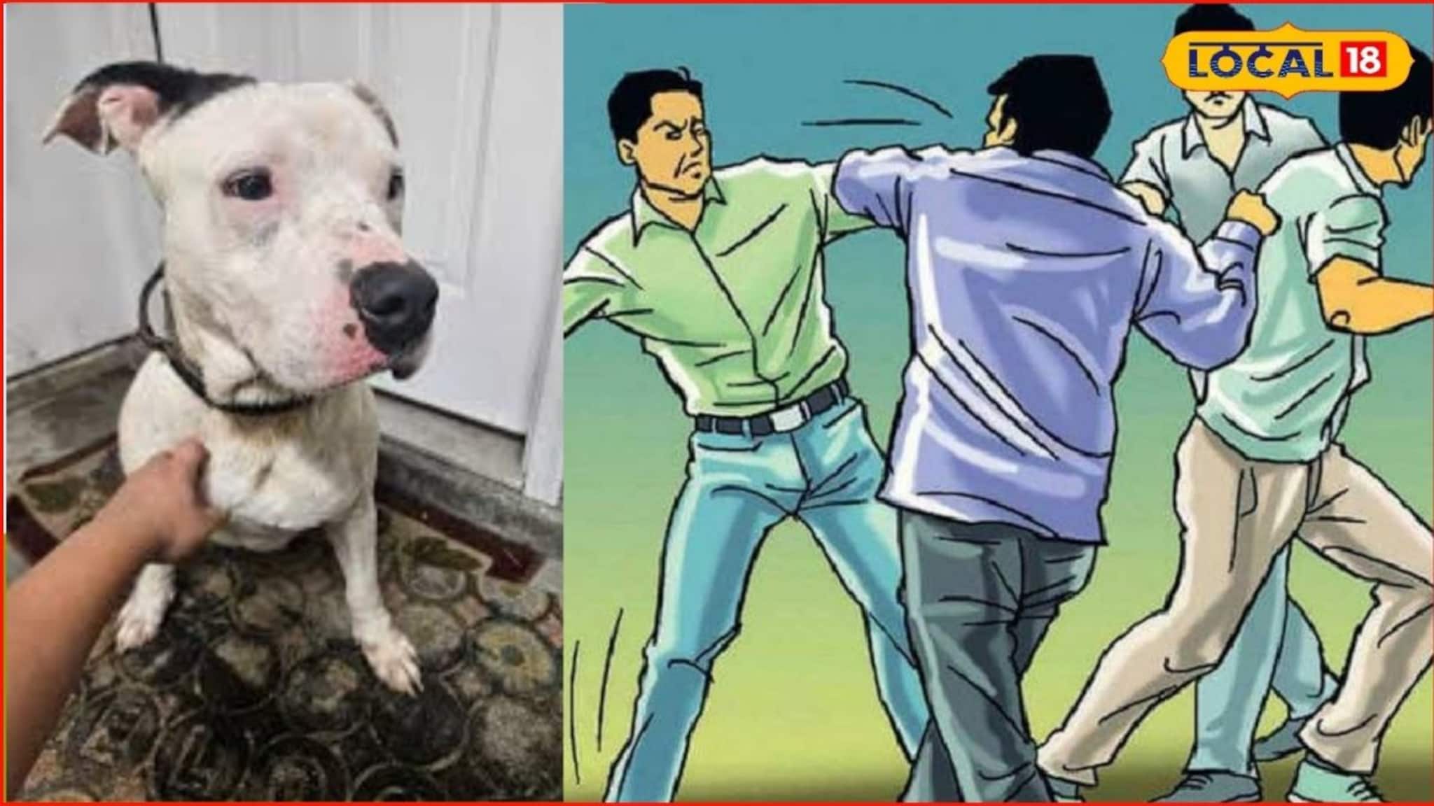 कुत्रा हरवला अन् वाद पेटला, अंबाजोगाईत मोठा राडा, थेट डोकं..., बीडमध्ये खळबळ