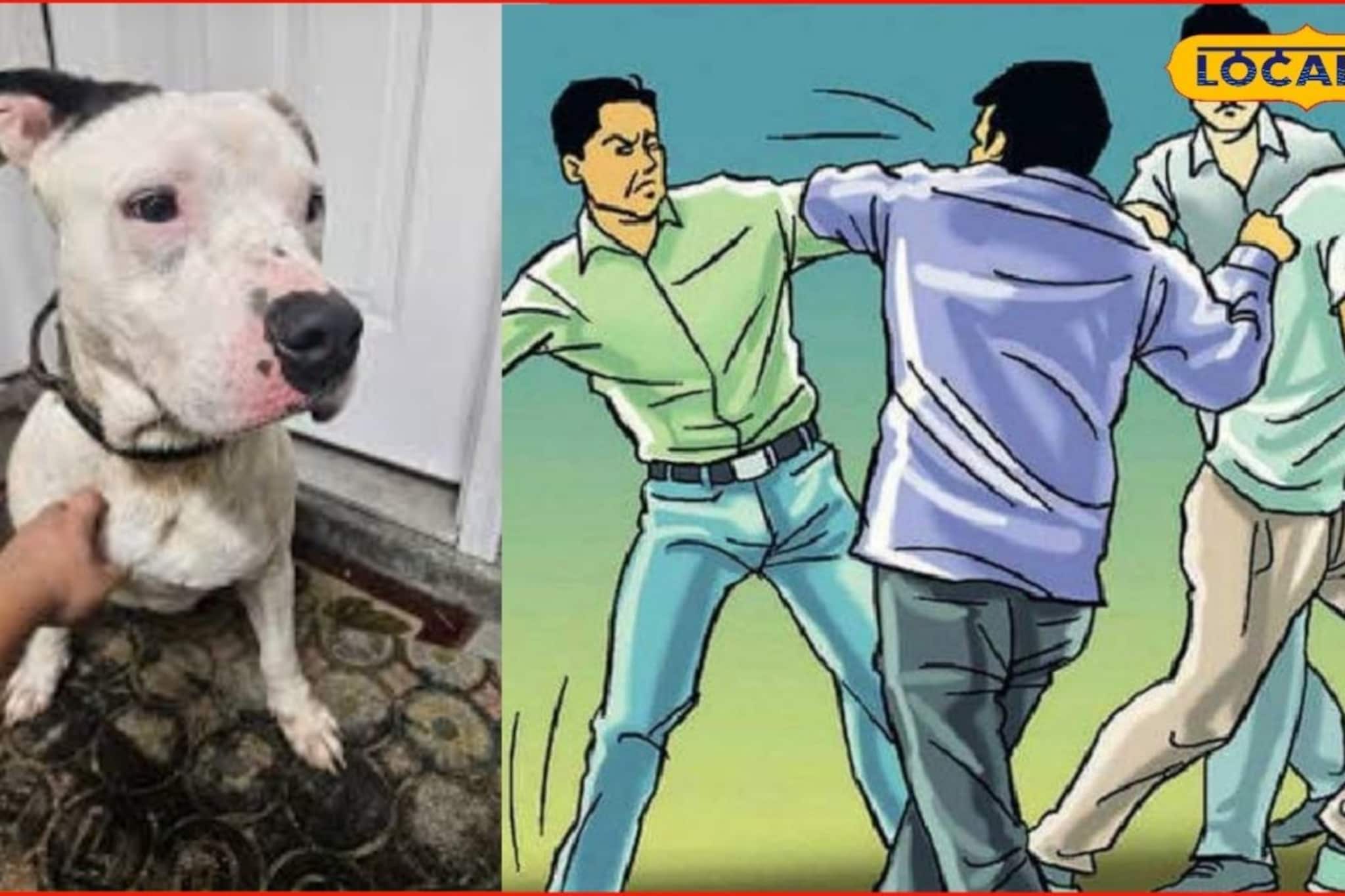 कुत्रा हरवला अन् वाद पेटला, अंबाजोगाईत मोठा राडा, थेट डोकं..., बीडमध्ये खळबळ कुत्रा हरवला अन् वाद पेटला, अंबाजोगाईत मोठा राडा, थेट डोकं..., बीडमध्ये खळबळ