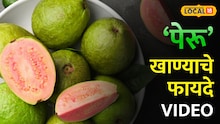 मधुमेही रुग्णांसाठी पेरू वरदान! वजन घटवण्यासाठी रोज किती ग्रॅम पेरू खावा? आहारतज्ज्ञांचा महत्त्वाचा सल्ला