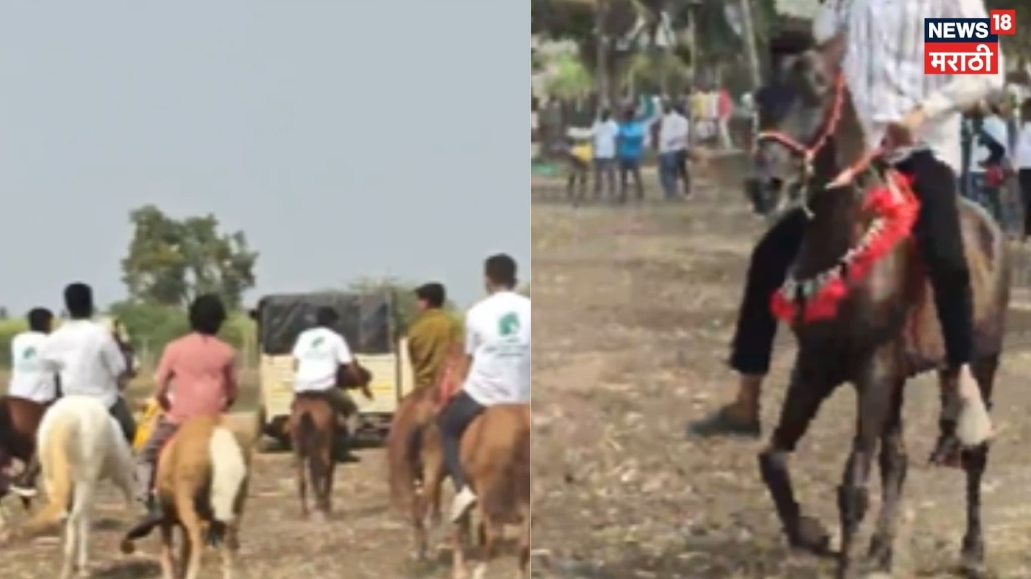 बारामतीत ऐतिहासिक भीमथडी अश्वांचे भव्य प्रदर्शन, हजारो शेतकऱ्यांची गर्दी, VIDEO