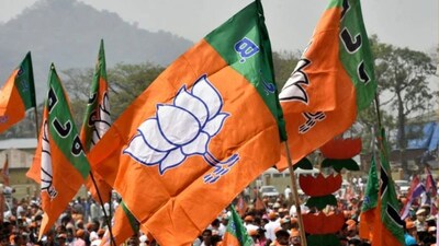 BJP Faces Crushing Defeat in Malegaon Municipal Elections, Secures Only 2 Seats