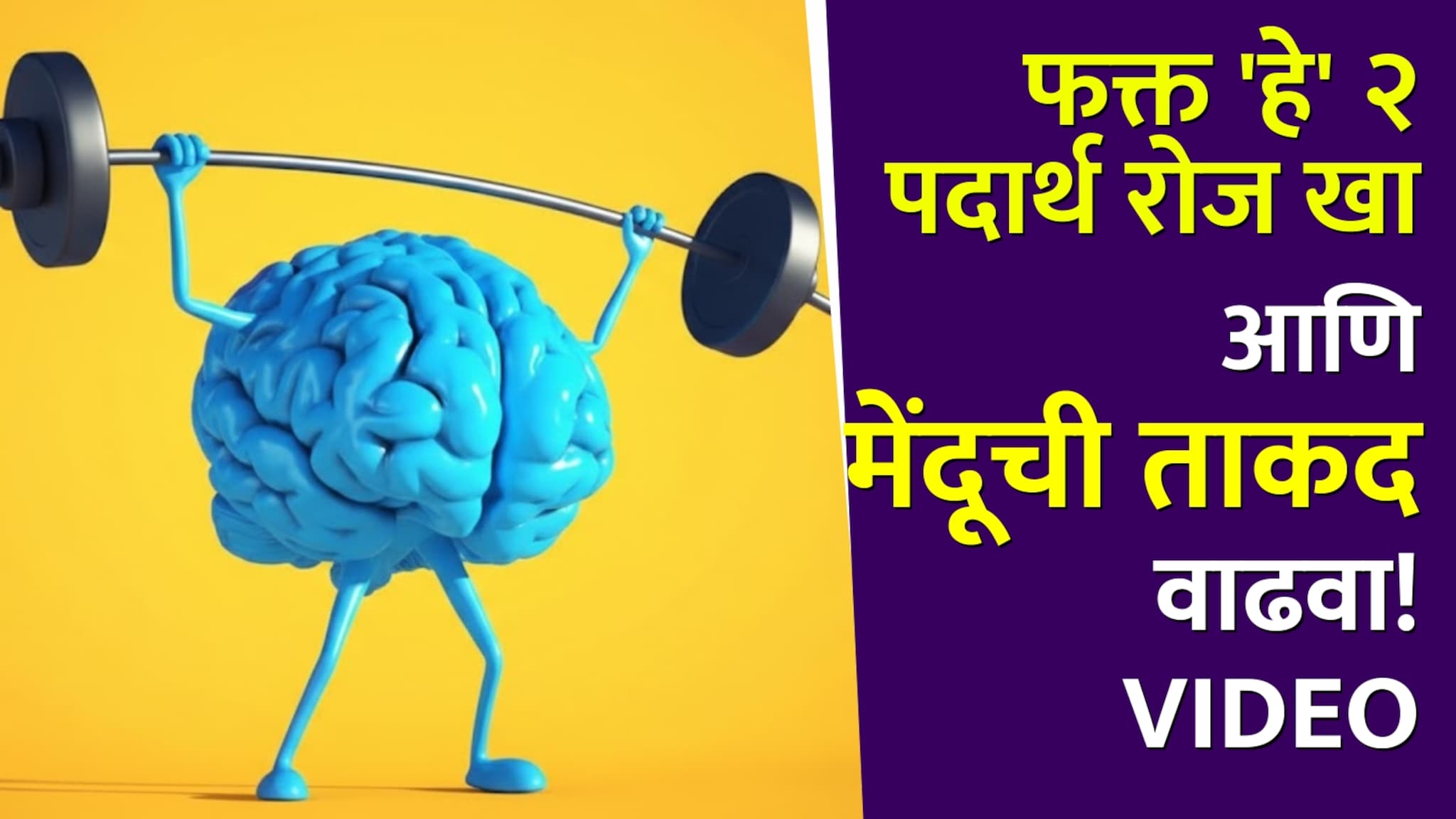 फक्त 'हे' 2 पदार्थ रोज खा आणि १० पटीने मेंदूची ताकद वाढवा!Video फक्त 'हे' 2 पदार्थ रोज खा आणि १० पटीने मेंदूची ताकद वाढवा!Video