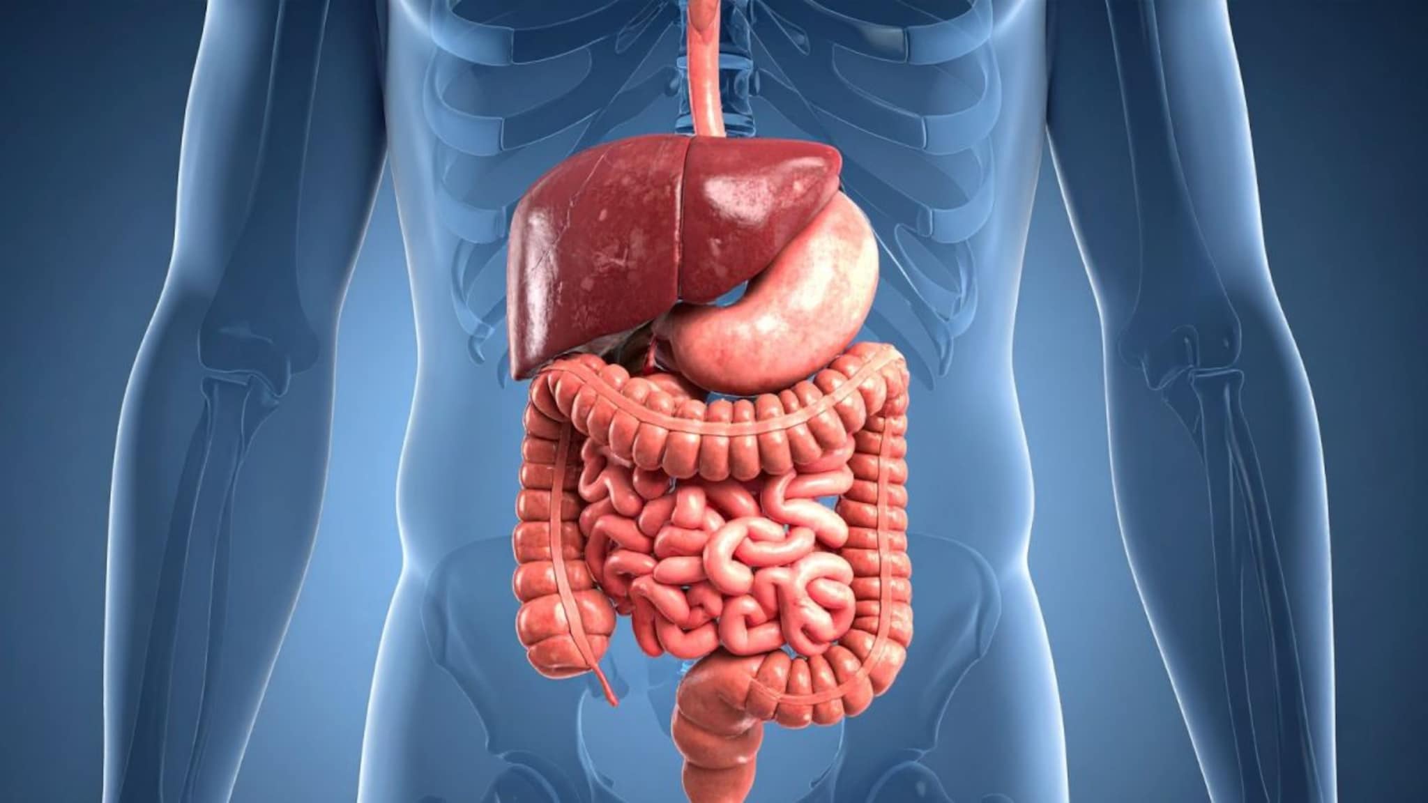 Digestion : पोट साफ होत नाही ? पचनाच्या समस्येवर या उपायानं करा मात, पचन होईल सुलभ