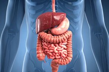 Digestion : पोट साफ होत नाही ? पचनाच्या समस्येवर या उपायानं करा मात, पचन होईल सुलभ