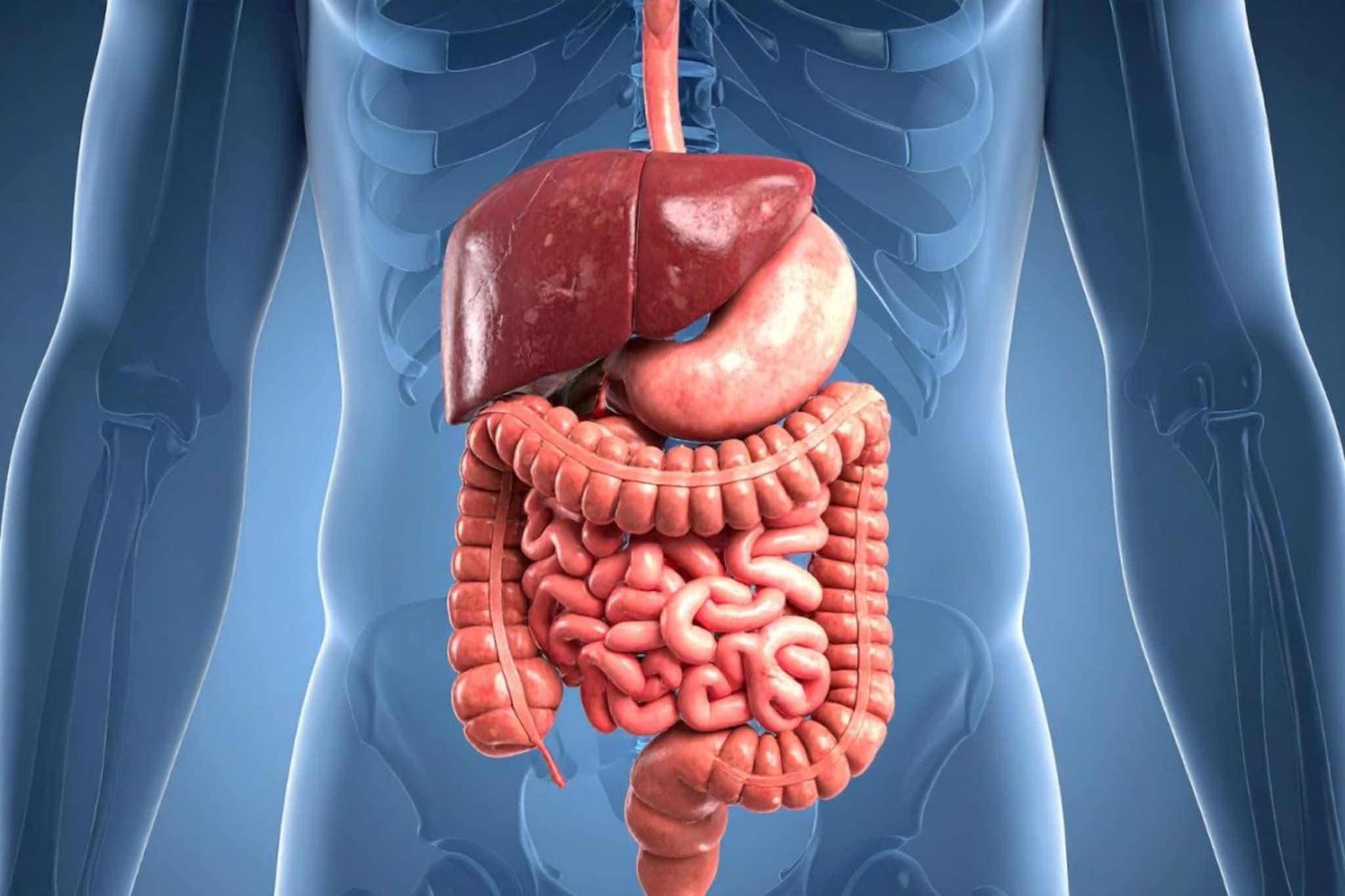 Digestion : पचनाच्या समस्यांवर नैसर्गिक टॉनिक, या उपायानं पोट वेळेत होईल स्वच्छ