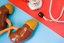 Kidneys : शरीरातल्या बदलांकडे नीट लक्ष द्या, गंभीर आजारांचा असू शकतो धोका, वाचा शरीरावर काय होतात परिणाम