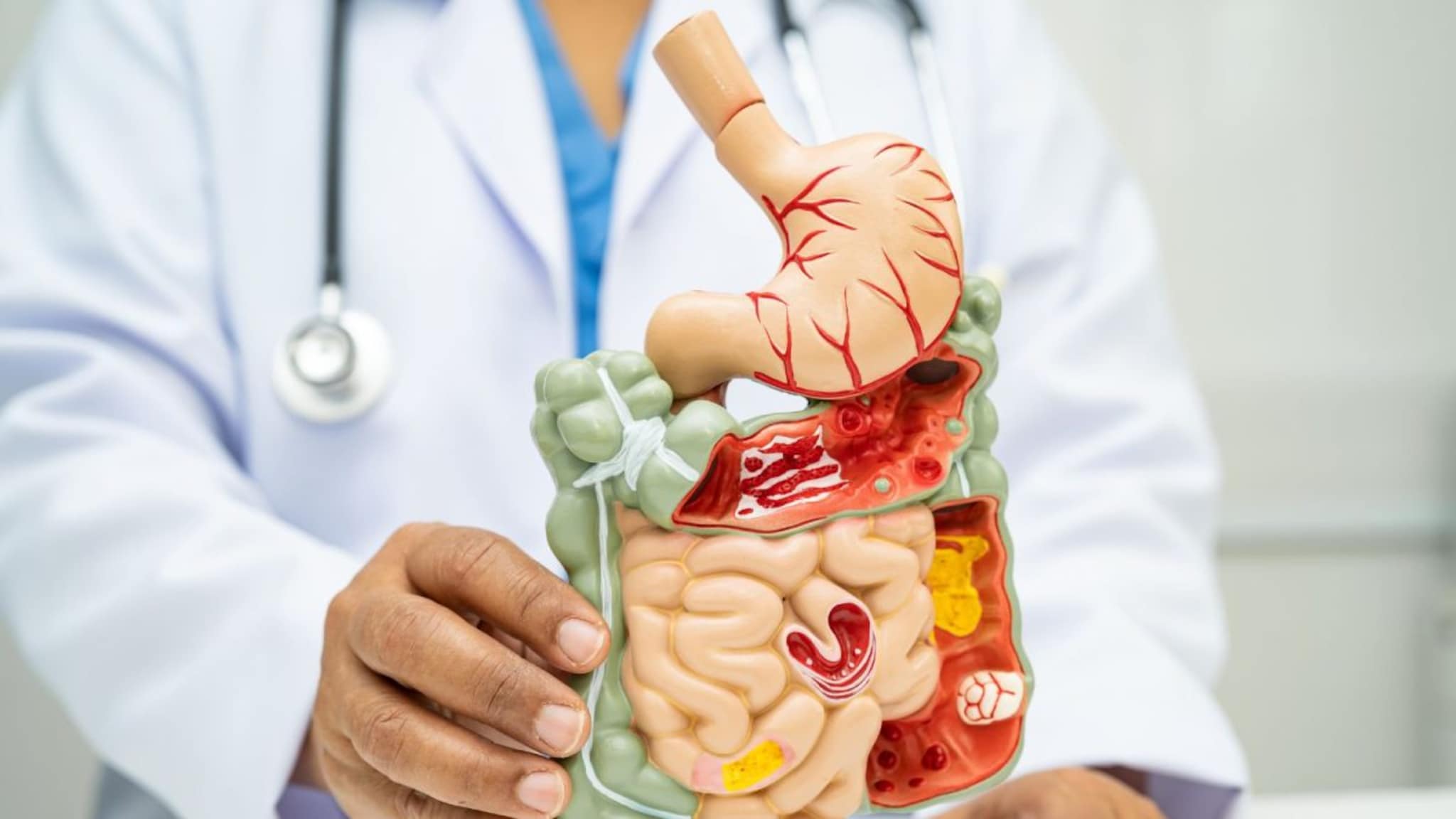 Digestion : आतड्यांच्या स्वच्छतेसाठी आहारात करा सोपे बदल, सहज पचनासाठी उपयुक्त पर्याय