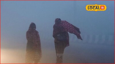 Weather Alert: महाराष्ट्रात पुन्हा वारं फिरलं, बर्फासारखी थंडी पडणार, हवामान विभागाचा अलर्ट