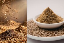 Kitchen Hacks : घरात आणलेलं जिरं अस्सल आहे की नकली? FSSAIने सांगितली भेसळ ओळखण्याची पद्धत