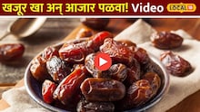 खजूर खा अन् आजार पळवा; तज्ज्ञांनी सांगितले खाण्याचे योग्य प्रमाण! Video