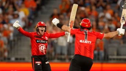 designated hitter rule 2026 designated hitter rule 2026