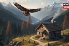 मोठं संकट येणार… घराबाहेर 'हे' पक्षी दिसले तर अनर्थ घडणार, चुकूनही करू नका 'या' इशाऱ्यांकडे दुर्लक्ष!