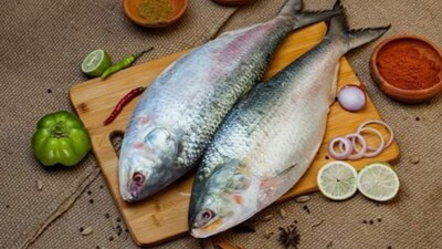 प्रतिकात्मक फोटो