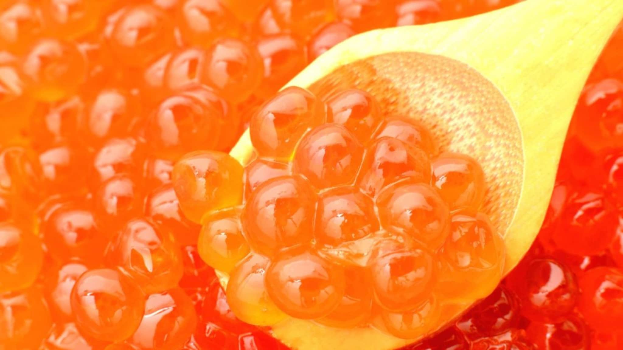 Fish Egg : फिश फ्राय खाल्ला असाल, पण कधी 'माशांची अंडी' ट्राय केलीत का? चवीसोबतच आरोग्याचा खजिना