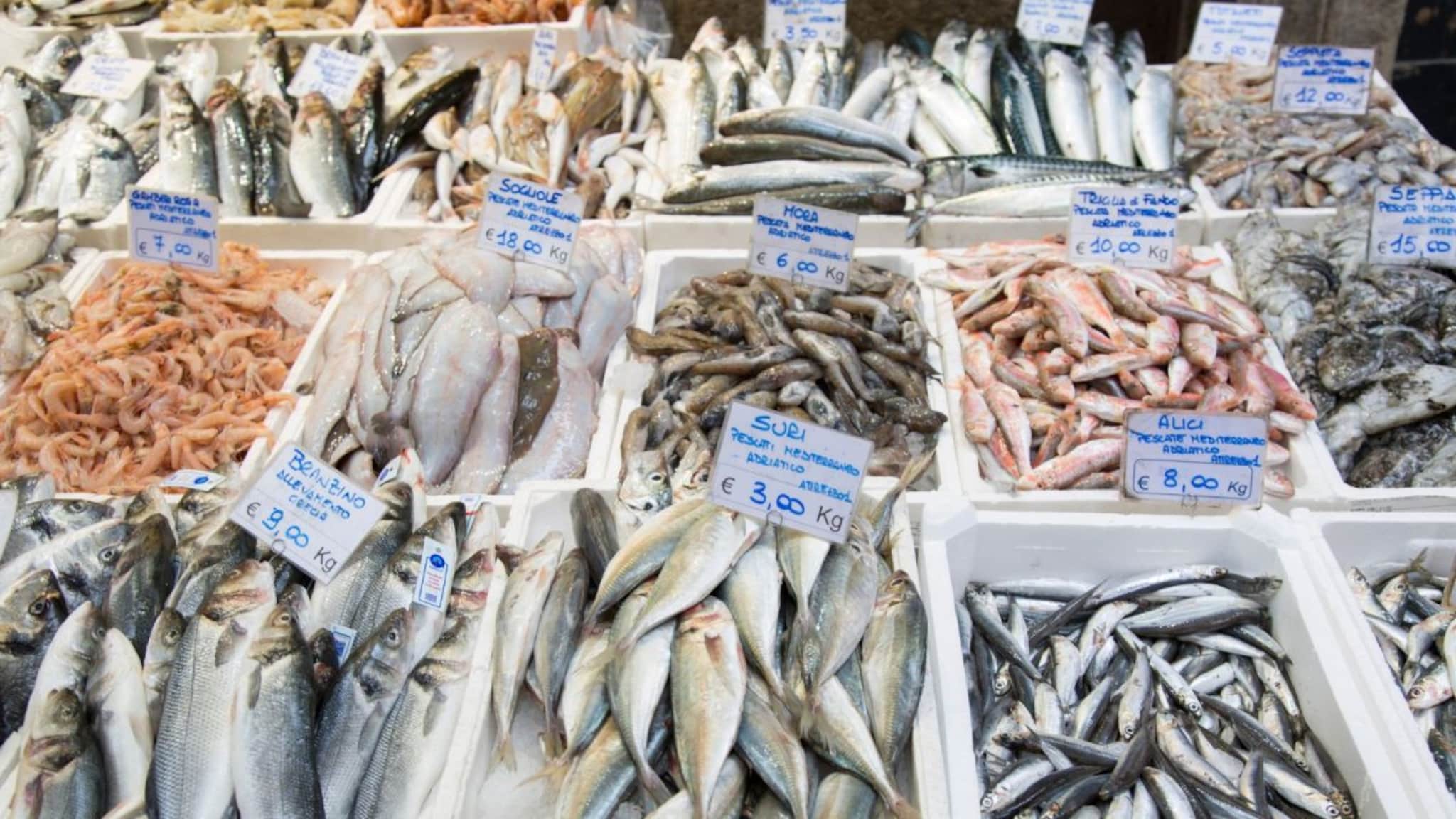 Fish : थंडीत मासे खाताय? नदी, तलाव, समुद्र की फार्म... कोणतं खाणं जास्त Safe? संशोधनात धक्कादायक खुलासा