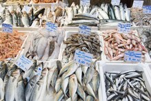 Fish : थंडीत मासे खाताय? नदी, तलाव, समुद्र की फार्म... कोणतं खाणं जास्त Safe? संशोधनात धक्कादायक खुलासा