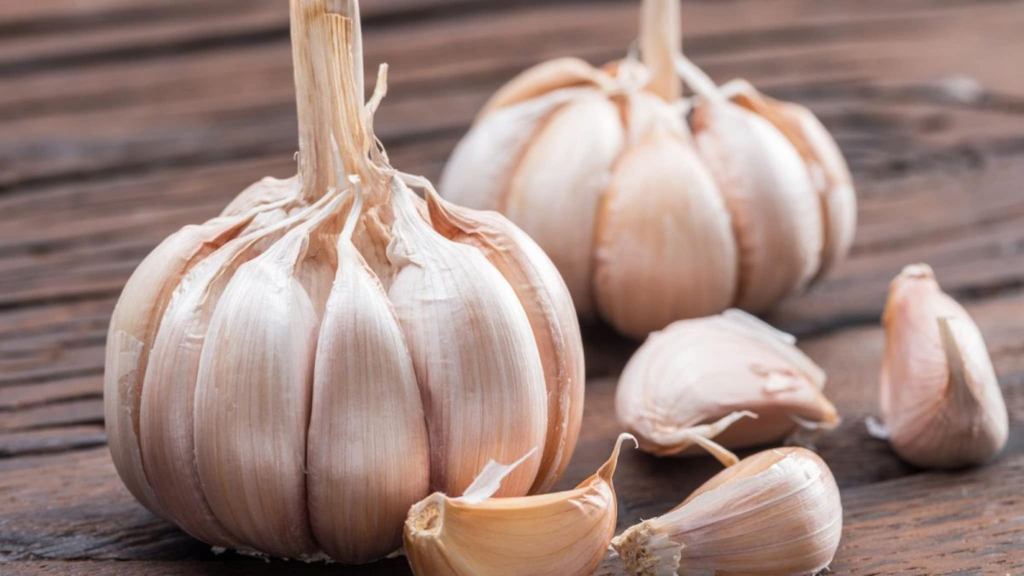 Garlic : लसूण लवकर खराब होतोय? मग वापरा वापरा हे सोपे आणि प्रभावी स्टोरेज ट्रिक्स, महिनाभरापेक्षा जास्त ताजी राहिल