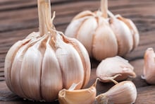 Garlic : लसूण लवकर खराब होतोय? मग वापरा वापरा हे सोपे आणि प्रभावी स्टोरेज ट्रिक्स, महिनाभरापेक्षा जास्त ताजी राहिल