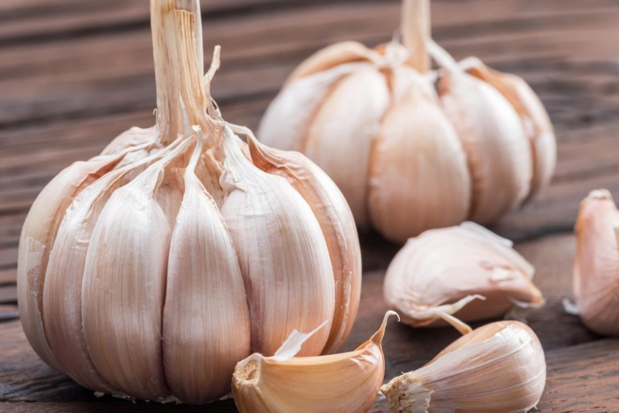 लसूण लवकर खराब होतोय? मग वापरा वापरा या सोप्या आणि प्रभावी स्टोरेज ट्रिक्स