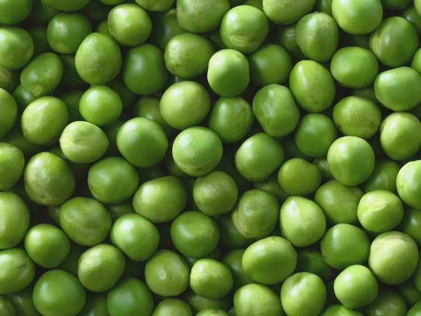 हिवाळ्याच्या दिवसांत बाजारात हिरवेगार आणि गोड मटार मोठ्या प्रमाणात आणि स्वस्त दरात उपलब्ध असतात. मात्र, जसजसा उन्हाळा जवळ येतो, तसे मटार महाग होतात आणि त्यांची चवही बदलू लागते. अनेक गृहिणींना प्रश्न पडतो की, हॉटेलमध्ये किंवा पॅकेटमध्ये मिळतात तसे फ्रोजन मटार (Frozen Matar) आपण घरी बनवू शकतो का? हिवाळ्याच्या दिवसांत बाजारात हिरवेगार आणि गोड मटार मोठ्या प्रमाणात आणि स्वस्त दरात उपलब्ध असतात. मात्र, जसजसा उन्हाळा जवळ येतो, तसे मटार महाग होतात आणि त्यांची चवही बदलू लागते. अनेक गृहिणींना प्रश्न पडतो की, हॉटेलमध्ये किंवा पॅकेटमध्ये मिळतात तसे फ्रोजन मटार (Frozen Matar) आपण घरी बनवू शकतो का?