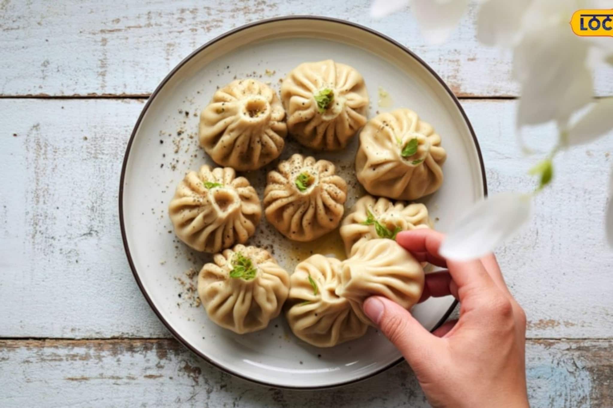 घरी बनवा गव्हाच्या पिठाचे मोमो; मुलांना इतके आवडतील, पुन्हा जंक फूड मागणार नाही घरी बनवा गव्हाच्या पिठाचे मोमो; मुलांना इतके आवडतील, पुन्हा जंक फूड मागणार नाही