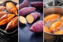 Roasted Vs Boiled Sweet Potato : भाजून की उकडून, थंडीत रताळे कशाप्रकारे खावे? योग्य पद्धतीने खा, होईल जास्त फायदा