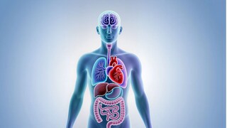 प्रतिकात्मक फोटो