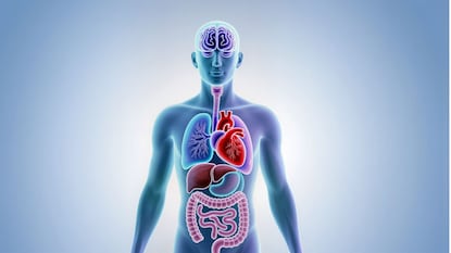 प्रतिकात्मक फोटो प्रतिकात्मक फोटो