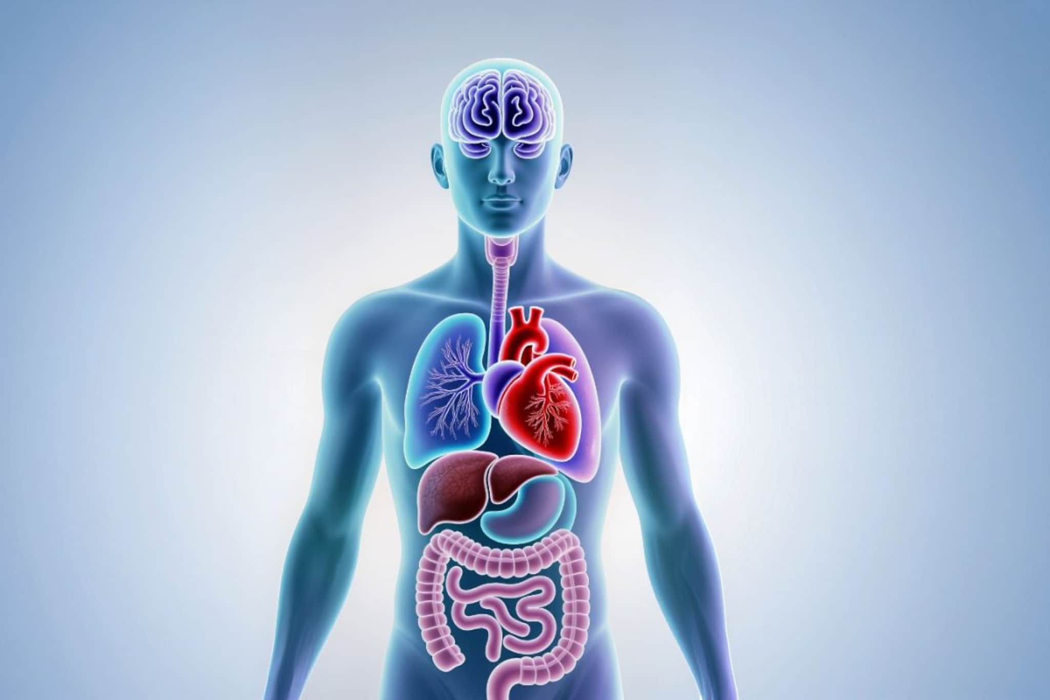 मानवी शरीरात नेमकी किती छिद्रे असतात? उत्तर वाचून डोकं चक्रावेल मानवी शरीरात नेमकी किती छिद्रे असतात? उत्तर वाचून डोकं चक्रावेल