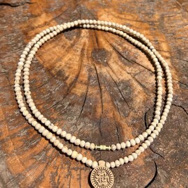 गळ्यात तुळशीची माळ अन् पिताय दारू? सोसावे लागतील हाल