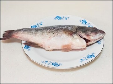 काट्यांमुळे मासे खावेसे वाटत नाही? 'हा' खास मासा खा, काटा फसण्याचं टेन्शनच नाही