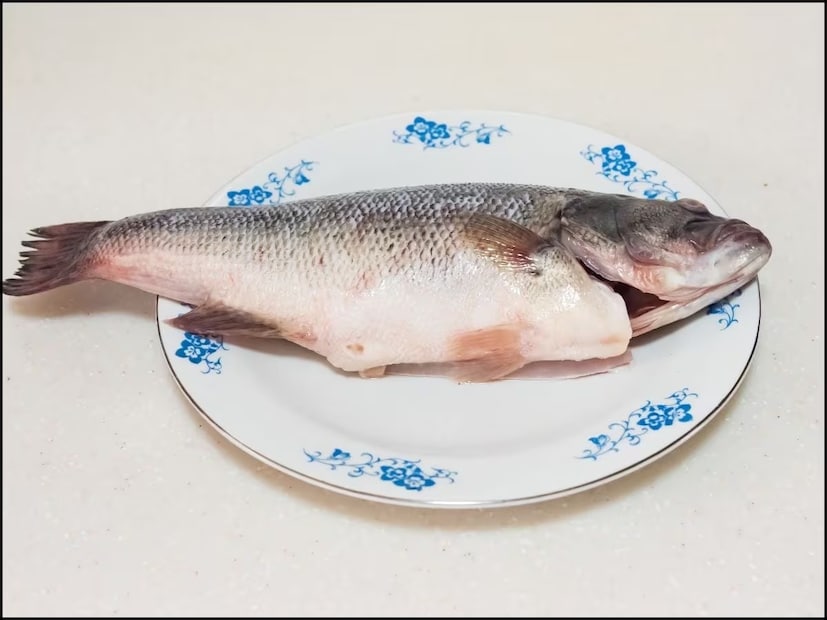 आजकाल लोक चिकन आणि मटणपेक्षा मासे पसंत करतात. कारण ते चरबीरहित असते. त्यात प्रथिने, ओमेगा-3 फॅटी अॅसिड, जीवनसत्त्वे आणि इतर पोषक घटक भरपूर असतात. हे पोषक घटक प्रौढांपेक्षा मुलांच्या आरोग्यासाठी आणि विकासासाठी अधिक महत्त्वाचे असतात. तरीही अनेक पालक त्यांच्या मुलांना मासे देण्यास कचरतात. कारण त्यांच्या हाडांची भीती असते. काही प्रौढ देखील त्यांच्या हाडांमुळे मासे खाणे टाळतात. माशांची हाडे ही एक सामान्य भीती आहे, परंतु घशात हाड अडकणे ही देखील एक सामान्य समस्या आहे. आजकाल लोक चिकन आणि मटणपेक्षा मासे पसंत करतात. कारण ते चरबीरहित असते. त्यात प्रथिने, ओमेगा-3 फॅटी अॅसिड, जीवनसत्त्वे आणि इतर पोषक घटक भरपूर असतात. हे पोषक घटक प्रौढांपेक्षा मुलांच्या आरोग्यासाठी आणि विकासासाठी अधिक महत्त्वाचे असतात. तरीही अनेक पालक त्यांच्या मुलांना मासे देण्यास कचरतात. कारण त्यांच्या हाडांची भीती असते. काही प्रौढ देखील त्यांच्या हाडांमुळे मासे खाणे टाळतात. माशांची हाडे ही एक सामान्य भीती आहे, परंतु घशात हाड अडकणे ही देखील एक सामान्य समस्या आहे.