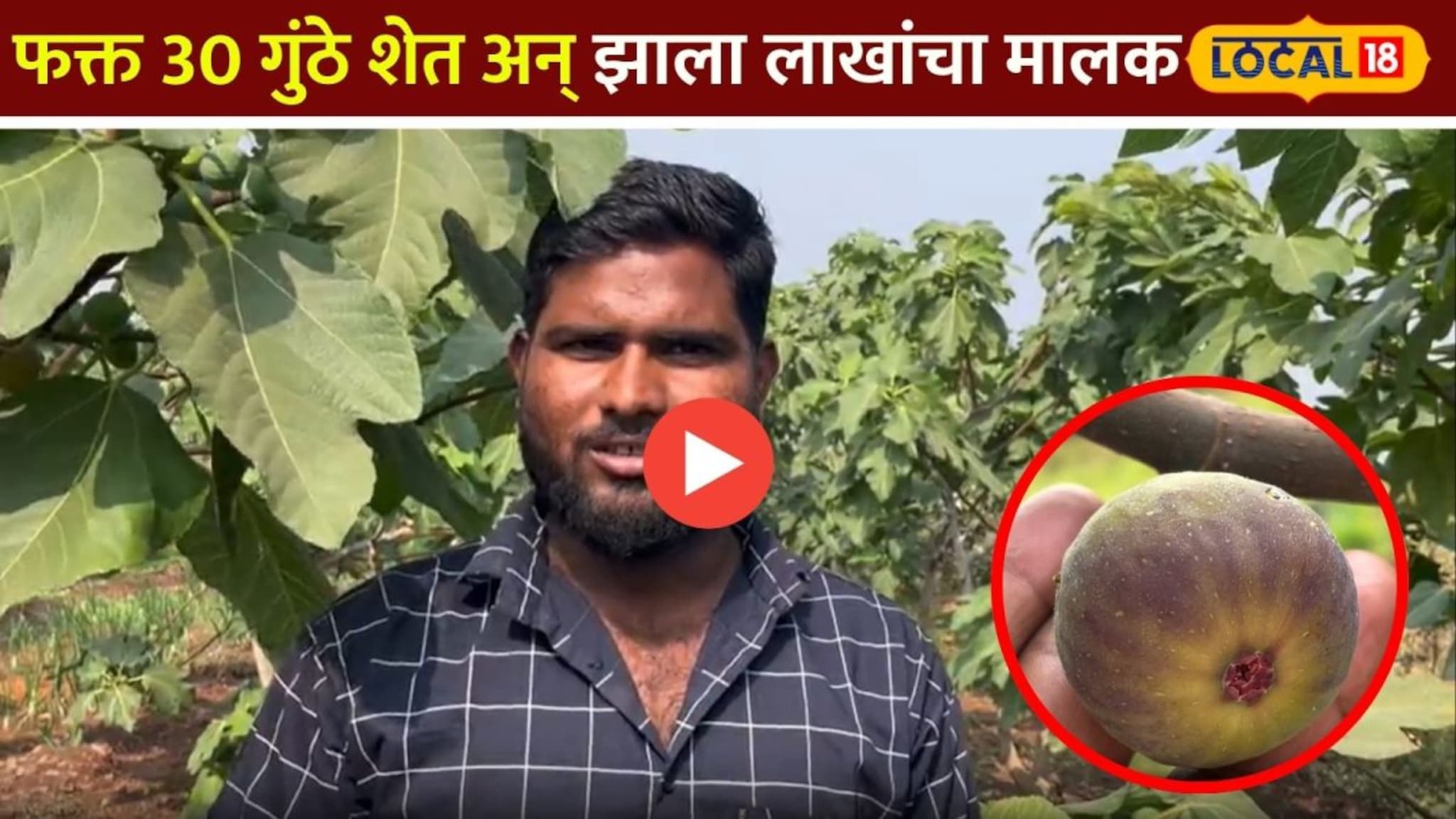 फक्त 30 गुंठे शेत अन् झाला लाखांचा मालक;तरुण शेतकऱ्यांन वापरली ही ट्रिक! Video 