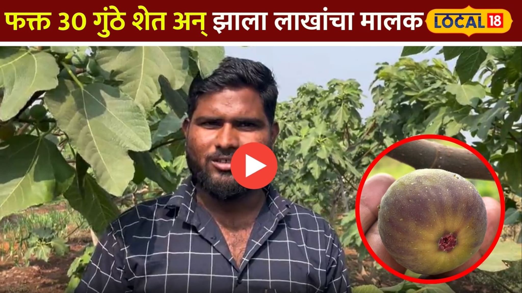 फक्त 30 गुंठे शेत अन् झाला लाखांचा मालक;तरुण शेतकऱ्यांन वापरली ही ट्रिक! Video 