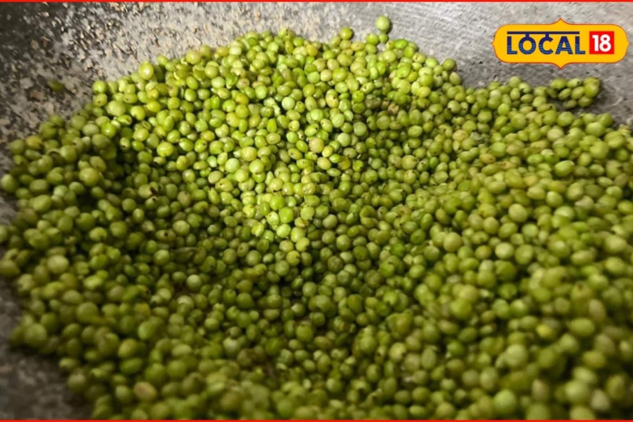 हुराड्याला मिळतोय सुक्यामेवाचा दर,किलोला मोजावे लागतायत एवढे रुपये, कारण काय?